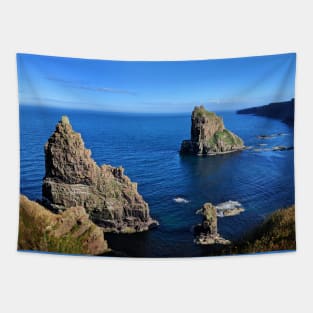 Stacks of Duncansby, Scotland Tapestry