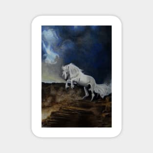 wild and white horse Magnet