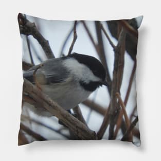 Chicadee Pillow