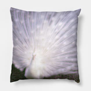 Glowing White Peacock Pillow