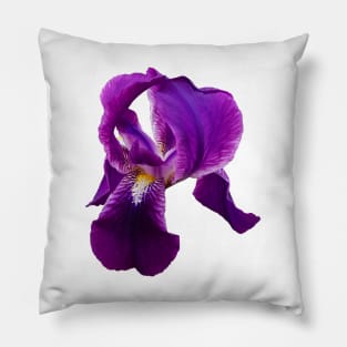 Flower Iris . Fleur de luce Pillow