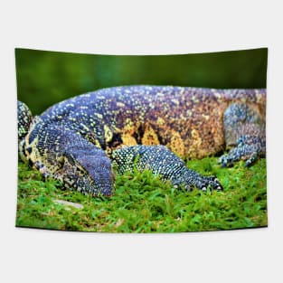 Giant Monitor Lizard 2 Tapestry