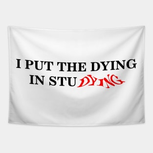 i put the dying in studying text Tapestry