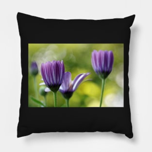 Still Blooming Pillow