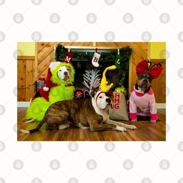 Merry Grinchmas 2 by TeamPitCrewDogs