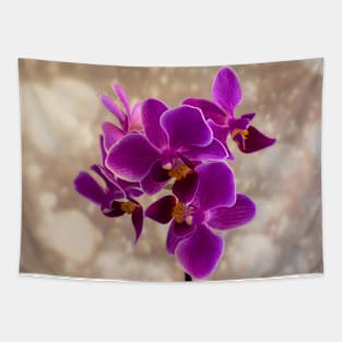 Purple Orchid Tapestry