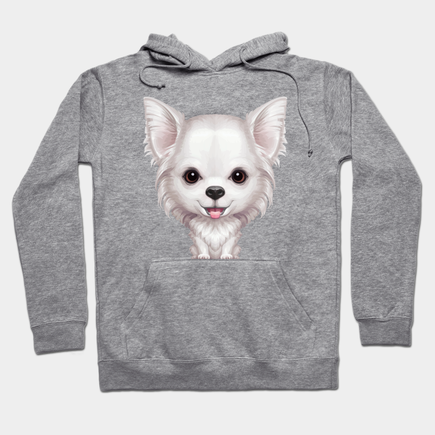 chihuahua in a hoodie