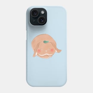 Sleeping Mochi Bailey The Bunny | Bunniesmee Phone Case