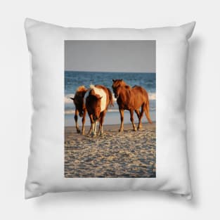 Assateague Beach Ponies Series - 02 Pillow