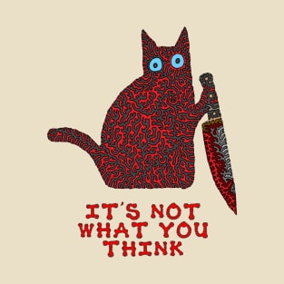 It's not what you think - Funny Cat T-Shirt