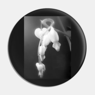 white bleeding hearts, black and white #2 Pin