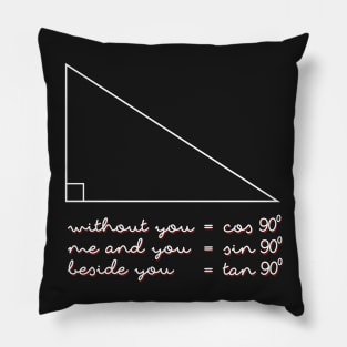 Math and Love 1 Pillow