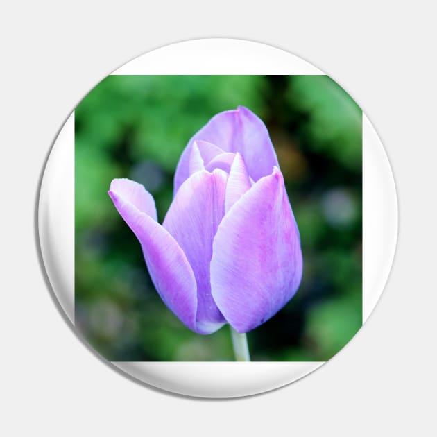 Light Purple Tulip Pin by Cynthia48