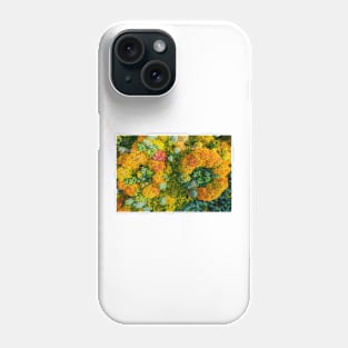 Aerial top down view of vibrant colorful autumn forest Phone Case