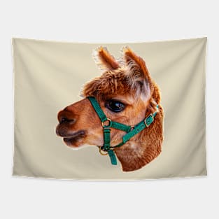 Alpaca Head Tapestry