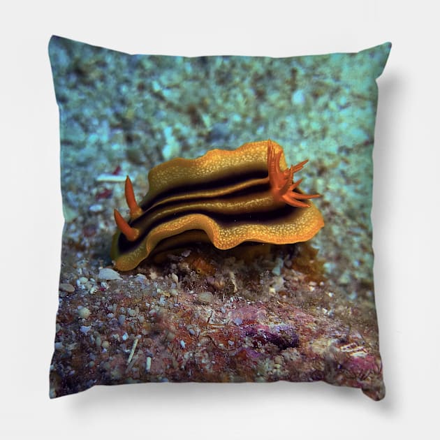 Chromodoris joshi nudibranch Pillow by likbatonboot
