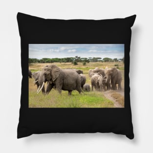 Elephant Family, Ngorongoro Concession, Tanzania Pillow