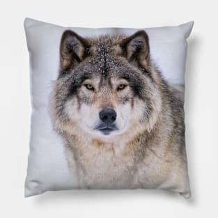 Timber Wolf Pillow