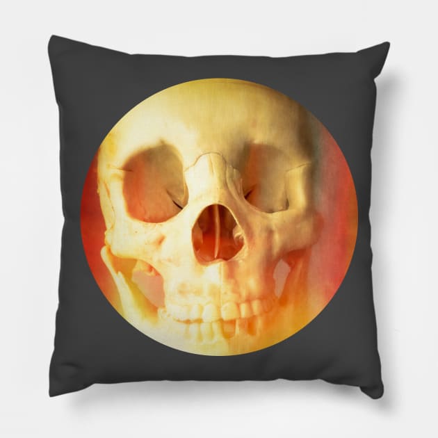 Hell Fire Pillow by DogfordStudios