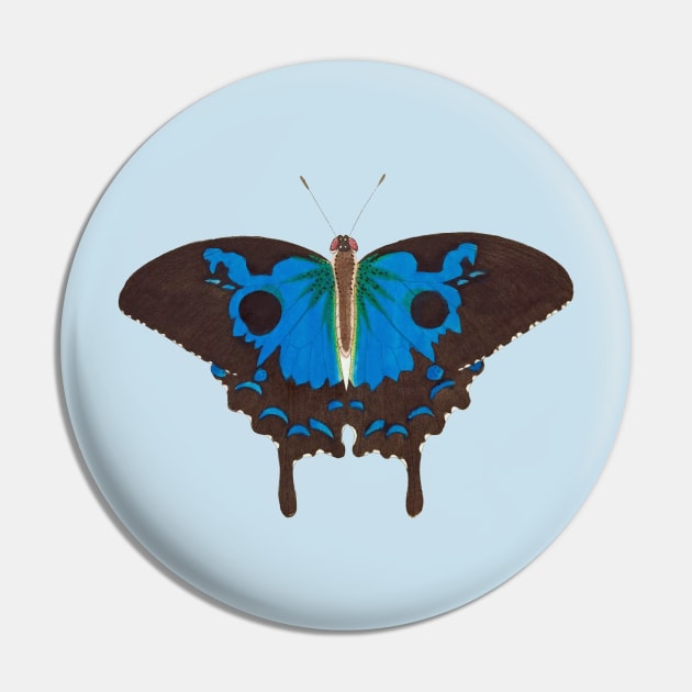 Stunning Blue Black Diomedes Butterfly Pin by RedThorThreads