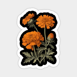 Marigold Flowers Vintage Botanicals Magnet