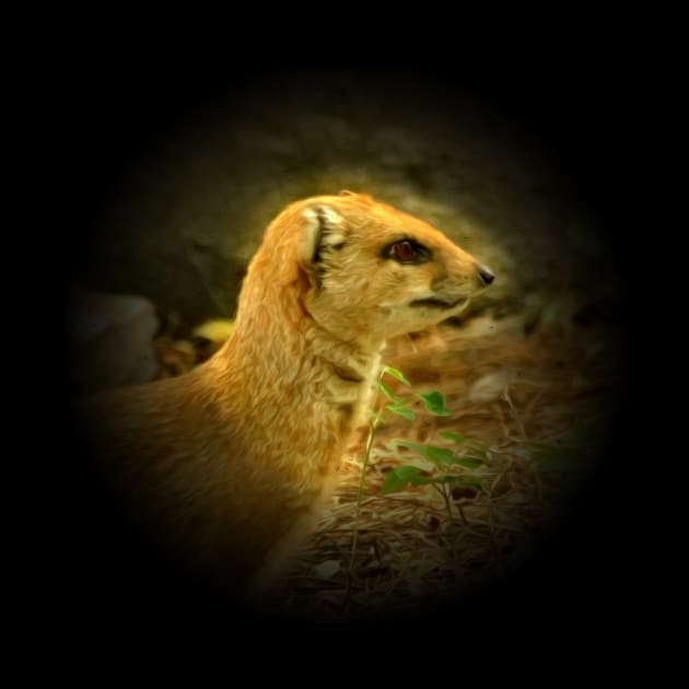 Mongoose by Guardi