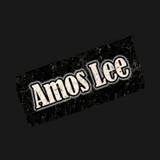 NYINDIRPROJEK - Amos Lee T-Shirt