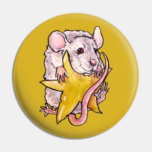 Rat on a Star Pin