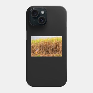 Sugar Cane. Phone Case