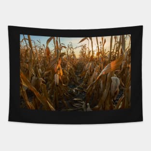 Corn field at sunset Tapestry