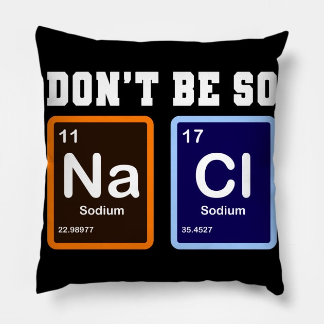 Don't Be So Salty Na Cl Funny Chemistry Gift Pillow by Delightful Designs