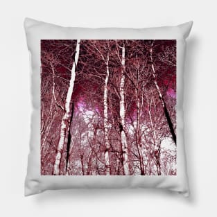 Magenta birches Pillow