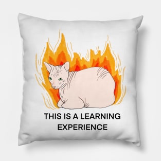 This is a learning experience Pillow