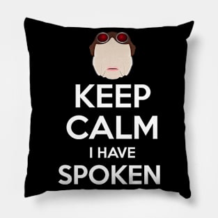 Calm speech Pillow