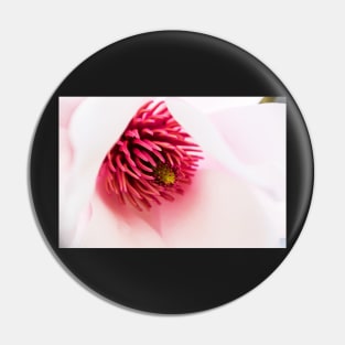 Delicate magnolia flower closeup Pin