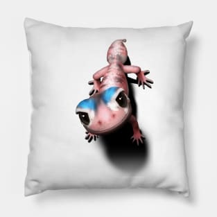 Knob tailed Gecko Pillow