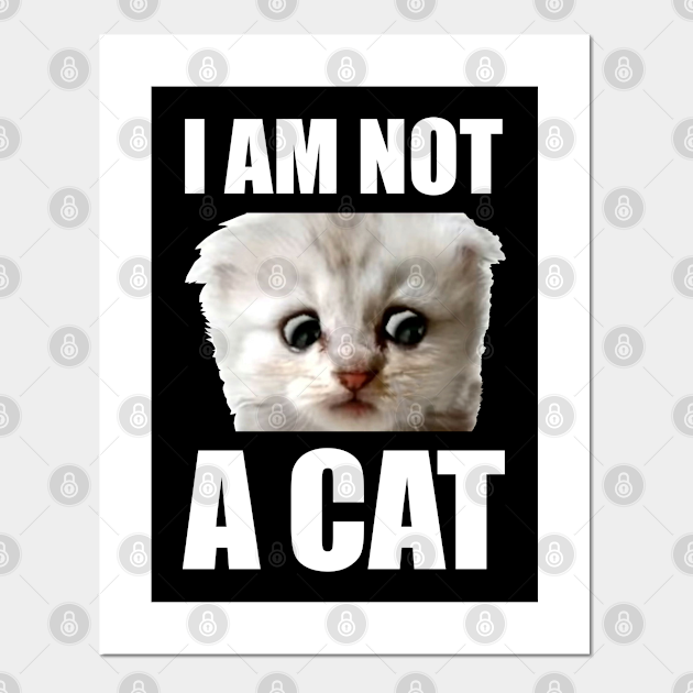 I Am Not A Cat Cat Posters And Art Prints Teepublic