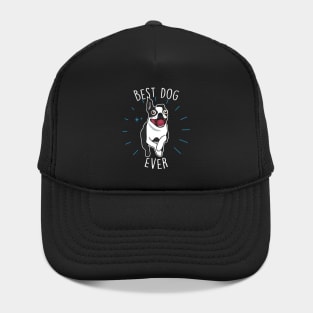 Boston Terrier Best Dog Hat