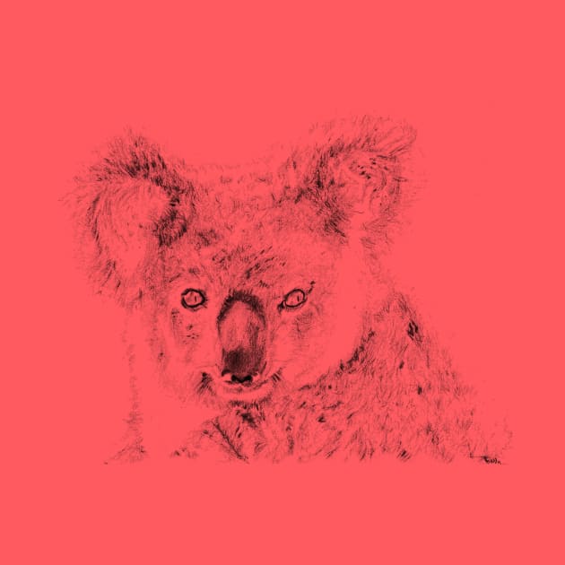 Koala appreciation portrait by Producer