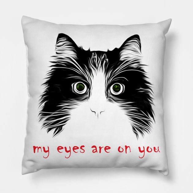 My eyes are on you Pillow by salimax