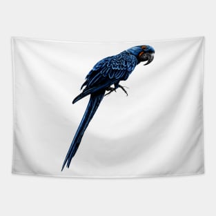 Hyacinth macaw Tapestry