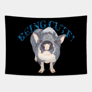 POT BELLIED PIG BEING CUTE Tapestry