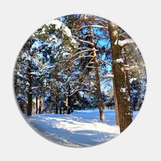 Scene at the Sormovsky Park in Nizhny Novgorod with pine trees, foliage, trunks, snow and trail Pin