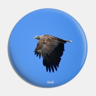 Eagle / Swiss Artwork Photography Pin