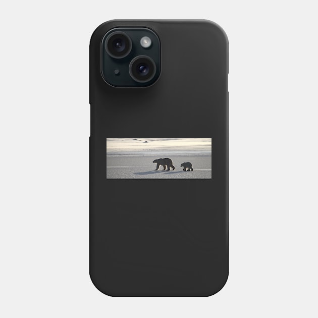 Silver Glow Panorama. Polar Bears at Sundown, Churchill, Canada Phone Case by Carole-Anne