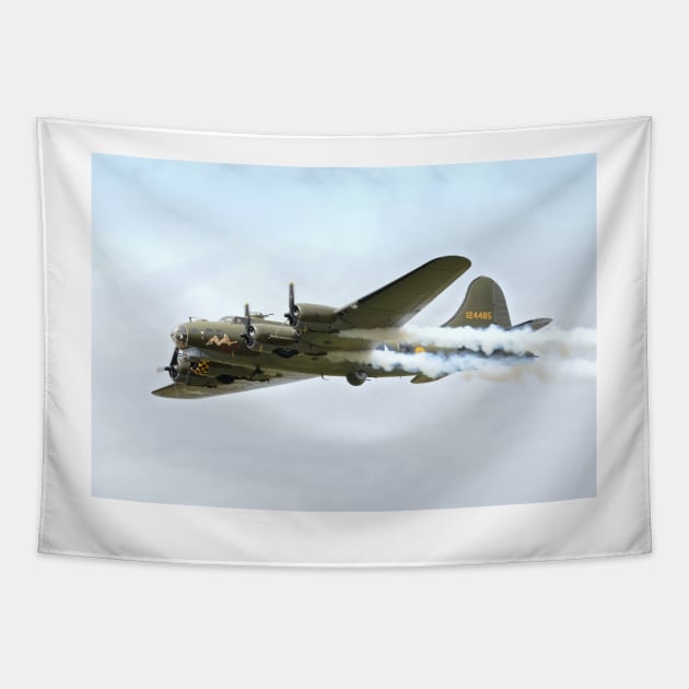 Sally B Collection Tapestry by Nigdaw