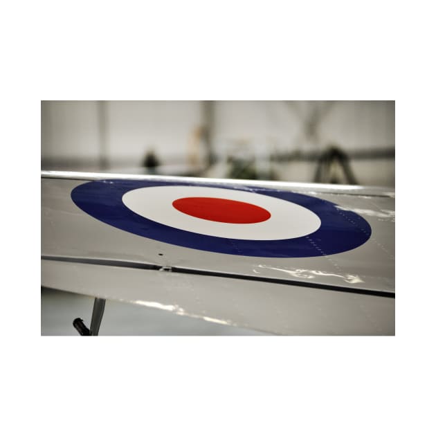 Roundel on the wing of a Spitfire by richflintphoto