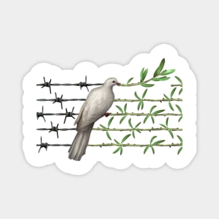 Dove With Olive Branch and Barbed Wire Magnet