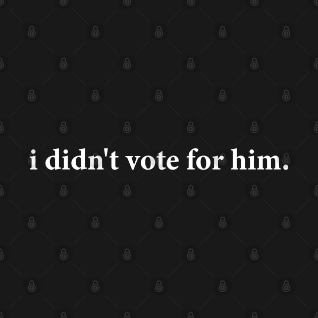 i didn't vote for him