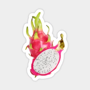 Abstract Minimalist Art of Dragon Fruit or Pitaya Magnet